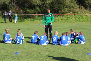 欧洲杯总冠军之争：战术智慧与个人能力的较量，欧洲杯冠军百度百科