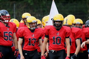 球员伤病防护不足，球员伤病对球员的影响